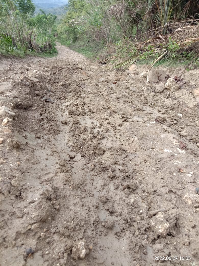 Inilah kondisi jalan yang menghubungkan Desa Nanin dan Desa Nanebot di Kecamatan Rinhat, Kabupaten Malaka 