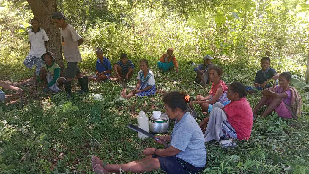 Warga Dusun Tabora, Desa Nanebot, Kecamatan Rinhat, Kabupaten Malaka, sedang bergotong royong membersihkan lahan tidur untuk ditanami sayuran, Senin (12/12/2022). Foto: Sipri Klau/JN