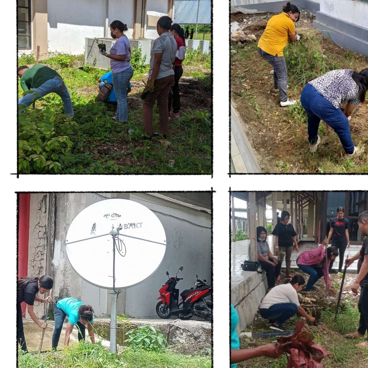 Pimpinan dan staf RSUD Naibonat sedang menanam anakan pohon di kompleks RSUD Naibonat. 