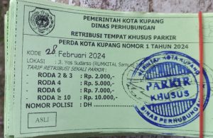 Ombudsman NTT : Jangan Bayar Parkir Jika Tidak Ada Karcis Resmi dari Pemkot Berstempel Basah