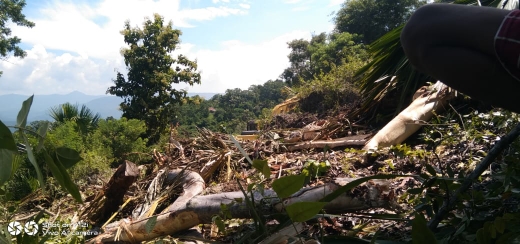 Inilah kondisi proyek pembukaan jalan baru yang diduga dikerjakan sendiri oleh Kades Egi Nahak. Foto : istimewa. 