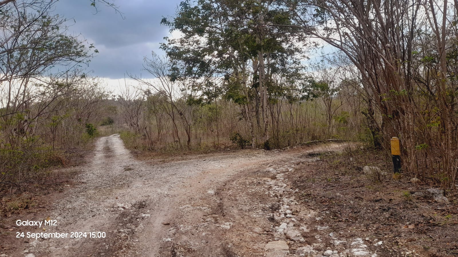 Inilah kondisi fisik perkerasan jalan yang dikerjakan oleh Kades Kuanheum, Okto Tloemnanu mengunakan Dana Desa.  Lokasi tanah proyek perkerasan jalan ini masih bermasalah. Foto : sk/jn