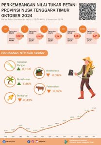 Oktober 2024 Nilai Tukar Petani (NTP) sebesar 101,86 naik 0,42 persen jika dibandingkan dengan September 2024