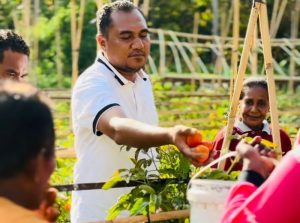 Ikut Panen Perdana di Desa Tilang, Senator AWK Dorong Petani Ubah Mindset dari Agrobisnis jadi Agroindustri