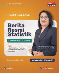 Perkembangan Transportasi NTT November 2024