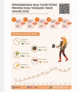 NTP Januari 2025 Naik 0,63 Persen, Capai 101,60 Jika Dibandingkan Desember 2024