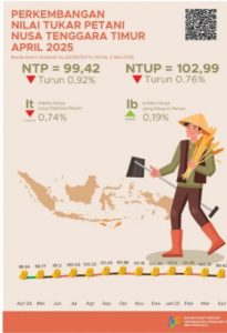 April 2025, NTP Nusa Tenggara Timur Turun Jadi 0,92 Persen