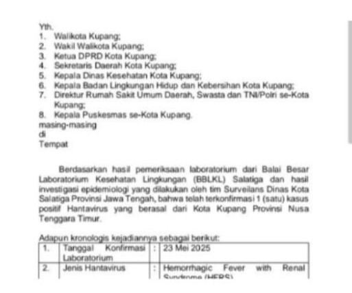 Kasus Hantavirus: Warga Kota Kupang Terinfeksi Didiagnosis Positif di Salatiga